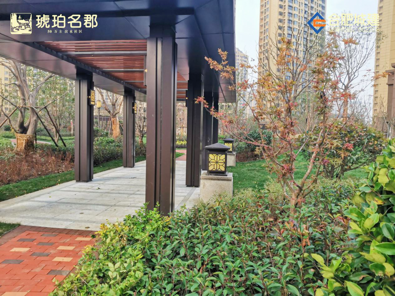 首页| J9集团国际站官方网站